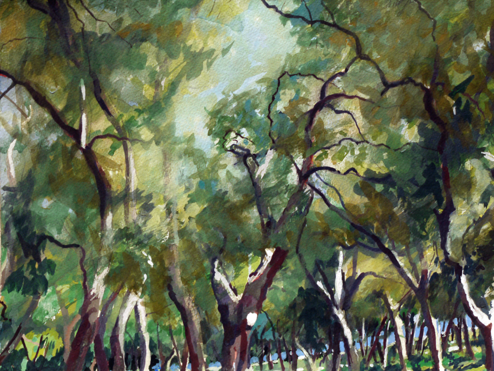 Cork oak woods at Buccheri, Sicily