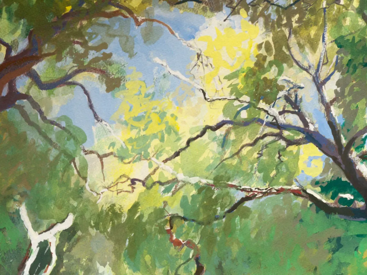 Sky Through Oak Woods Sicily - Gouache painting of cork oak woods near Buccheri, Sicily by Nicholas Stedman