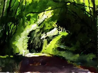 Canterbury Woodland Path