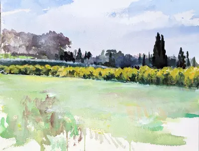 Siracusa Orange Tree Landscape Sicily