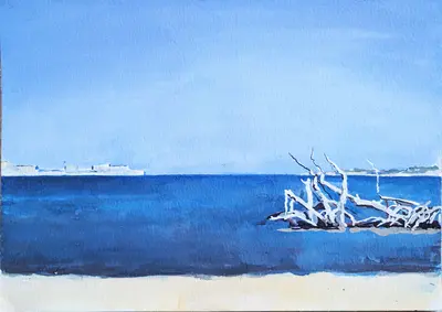 Siracusa Ortigia Sea Treetrunk Flotsam